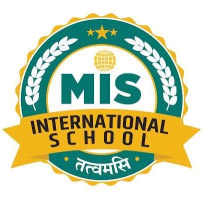 MIS International School Company logo